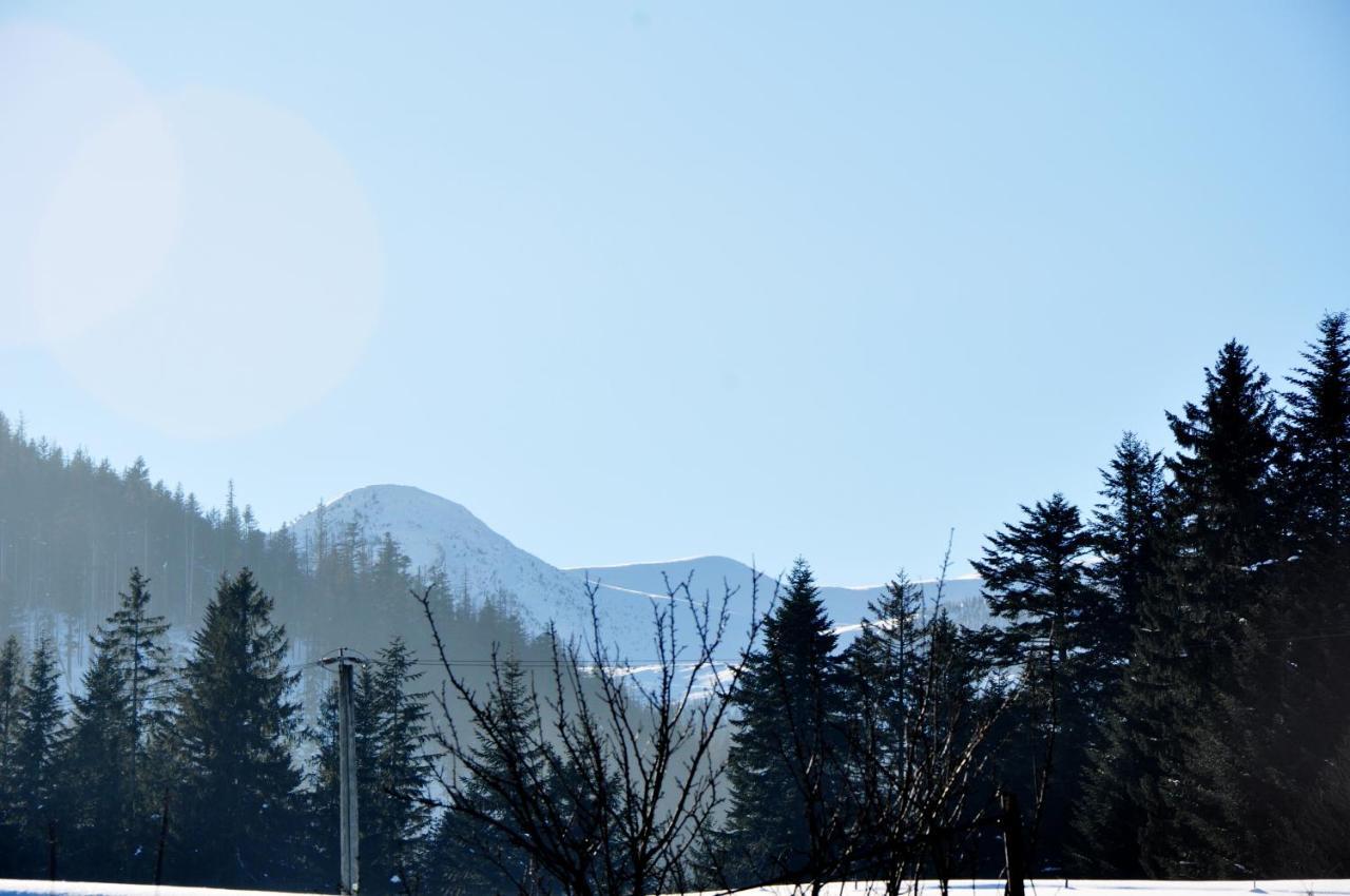 Apartamenty Jszi Zakopane Exterior foto